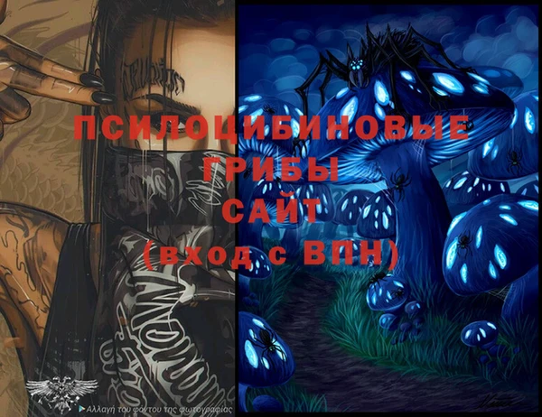 соль курить ск Новозыбков