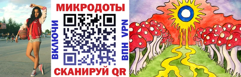 Галлюциногенные грибы Psilocybine cubensis цена наркотик Пудож